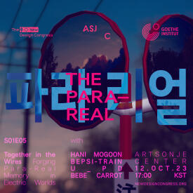 Interviewed in ParaReal